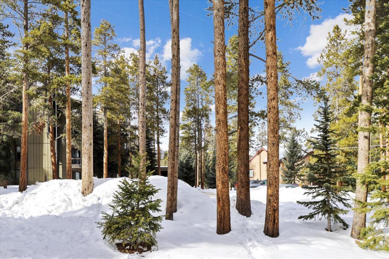 Park Forest Estates ブリッケンリッジ エクステリア 写真