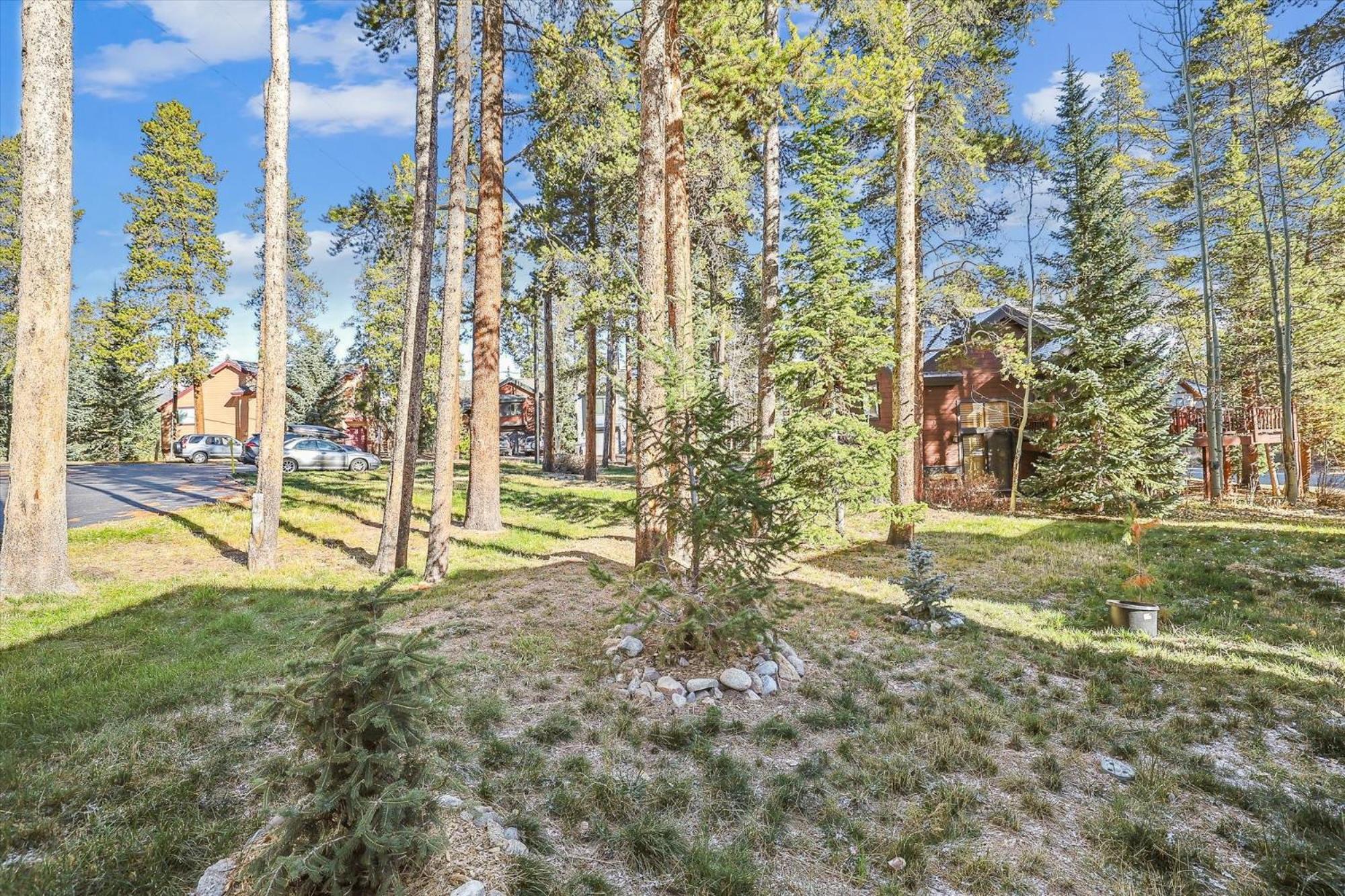 Park Forest Estates ブリッケンリッジ エクステリア 写真